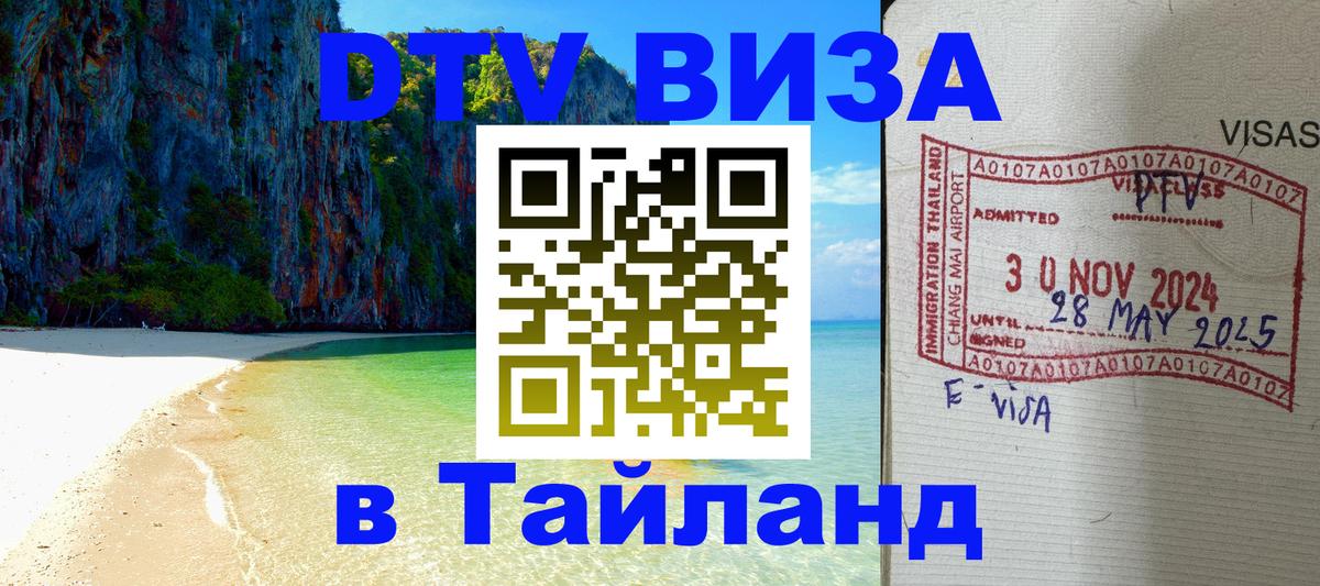 Оформление DTV визы под ключ: стоимость и тарифы, только загранпаспорт - 